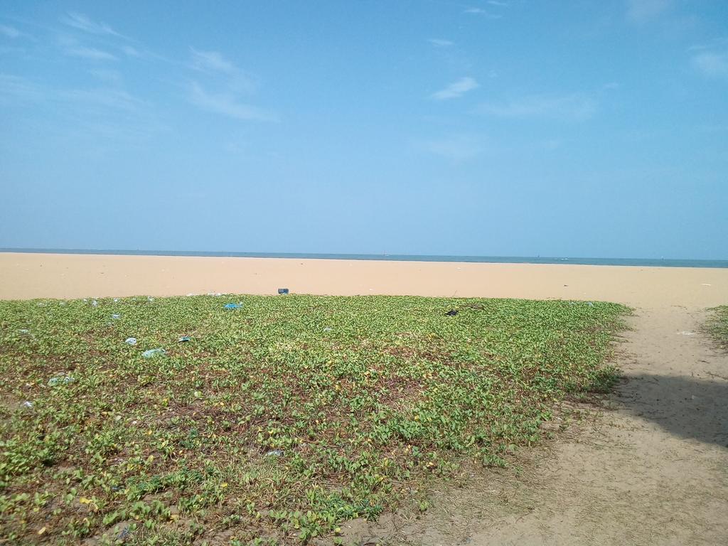 Hotel Yoho Mango House Negombo Exterior foto